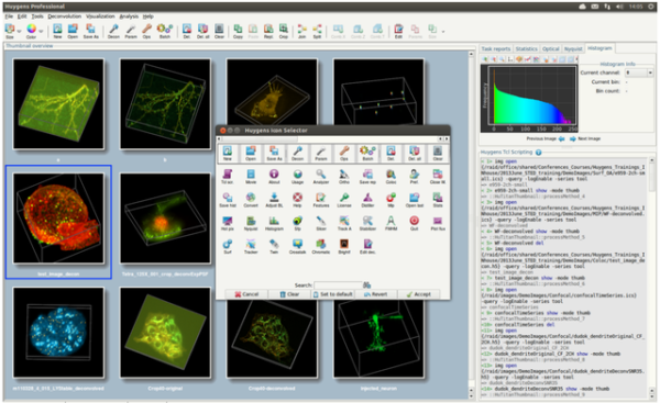 Scientific Volume Imaging Huygens Software – PTC International Limited