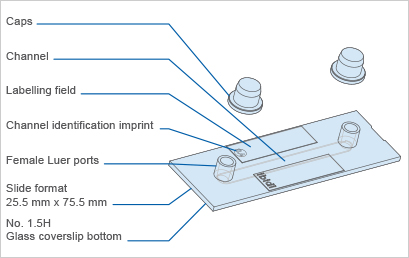 width=