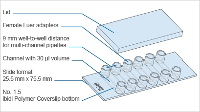  width=